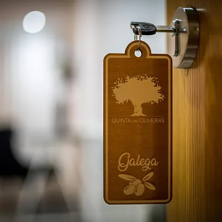 Quinta Oliveiras Fundão