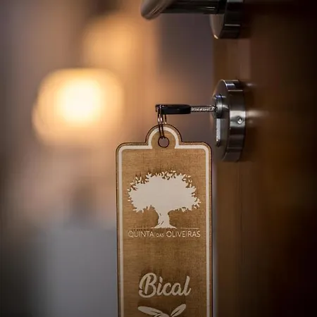 Quinta Oliveiras Fundão