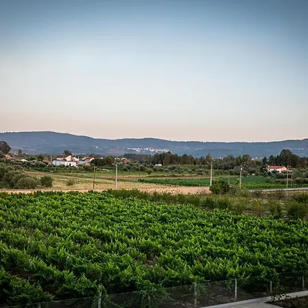 Quinta Oliveiras