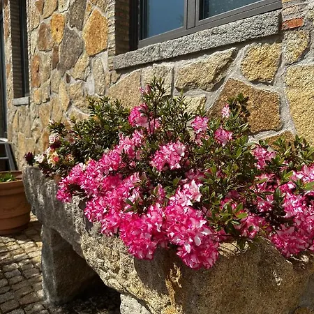 Quinta Oliveiras Fundão