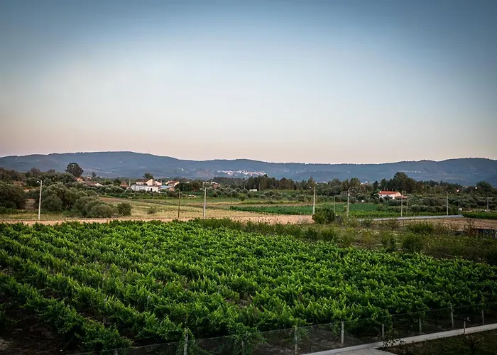 Quinta Oliveiras