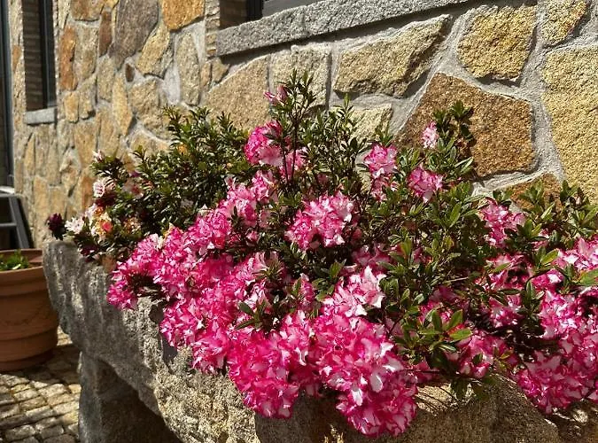 Quinta Oliveiras Fundão